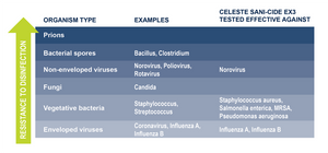 COVID-19 Product Update - Celeste Products