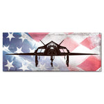 F117 Stealth Fighter American Flag Plasma Cut Sign