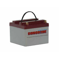 Concorde - General Aviation AGM Aircraft Battery, 24v | RG24-10