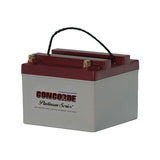 Concorde - General Aviation AGM Aircraft Battery, 24v | RG24-16