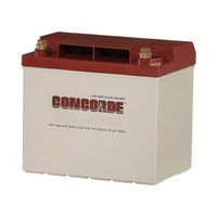 Concorde RG25 General Aviation AGM Aircraft Battery - 12V